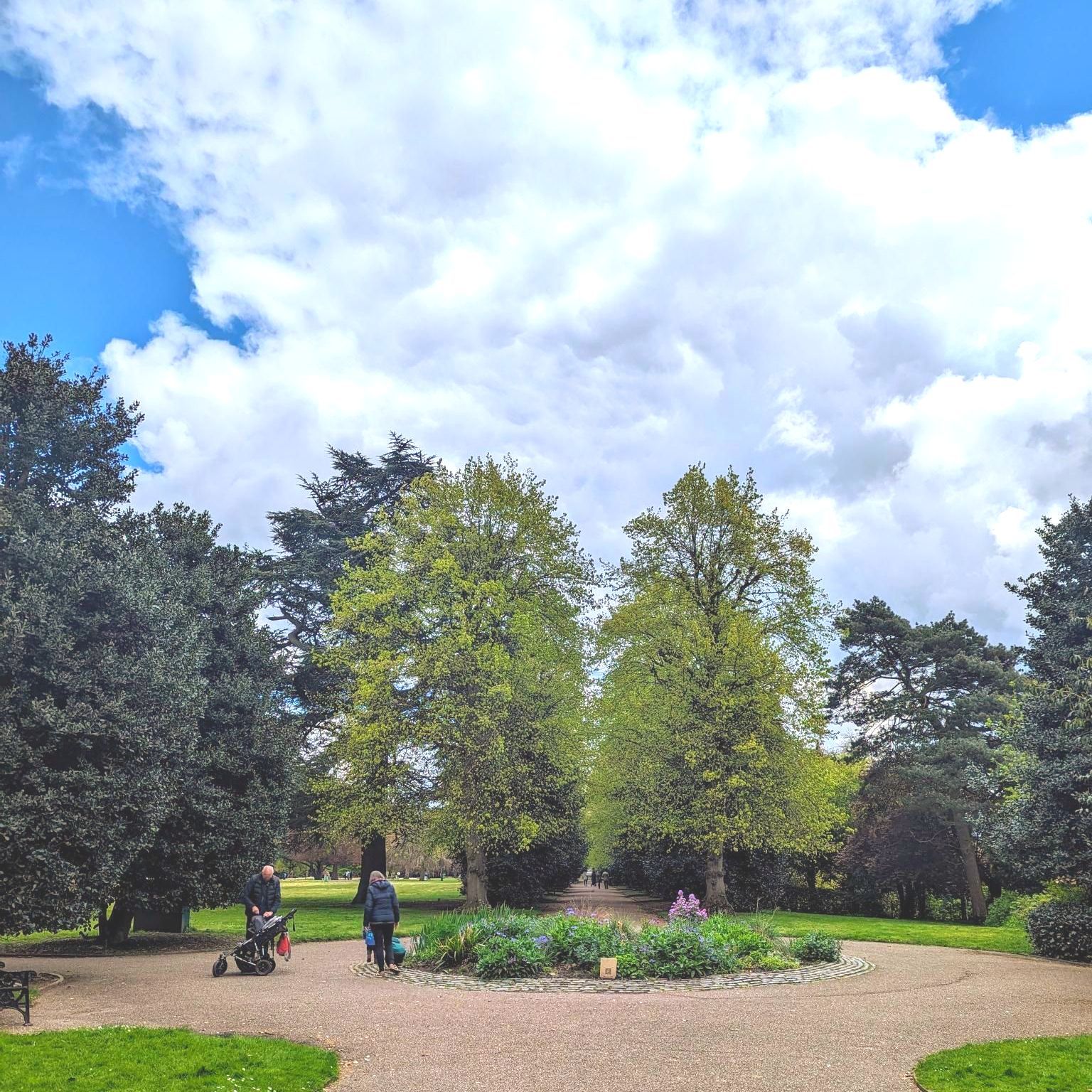 grosvenor park flower beds in bloom