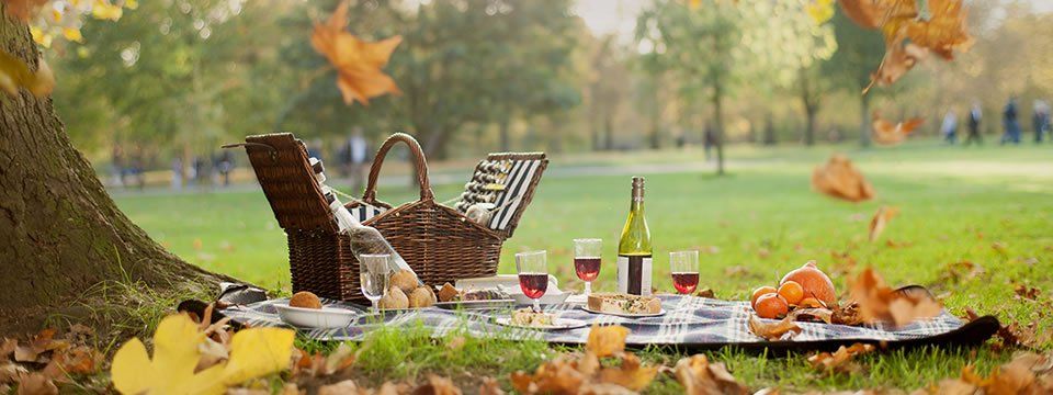 grovesnor park chester with a picnic basket and wine