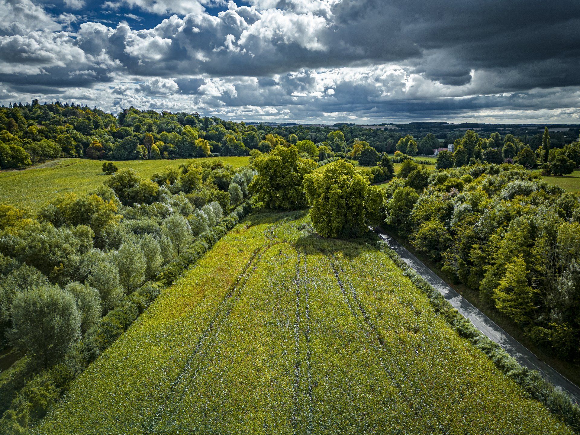 Hurstbourne Hurstbourne