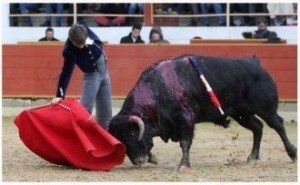 Foto: Michèle Mena.