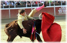 Foto: Michèle Mena.