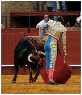 Foto: Michèle Mena.