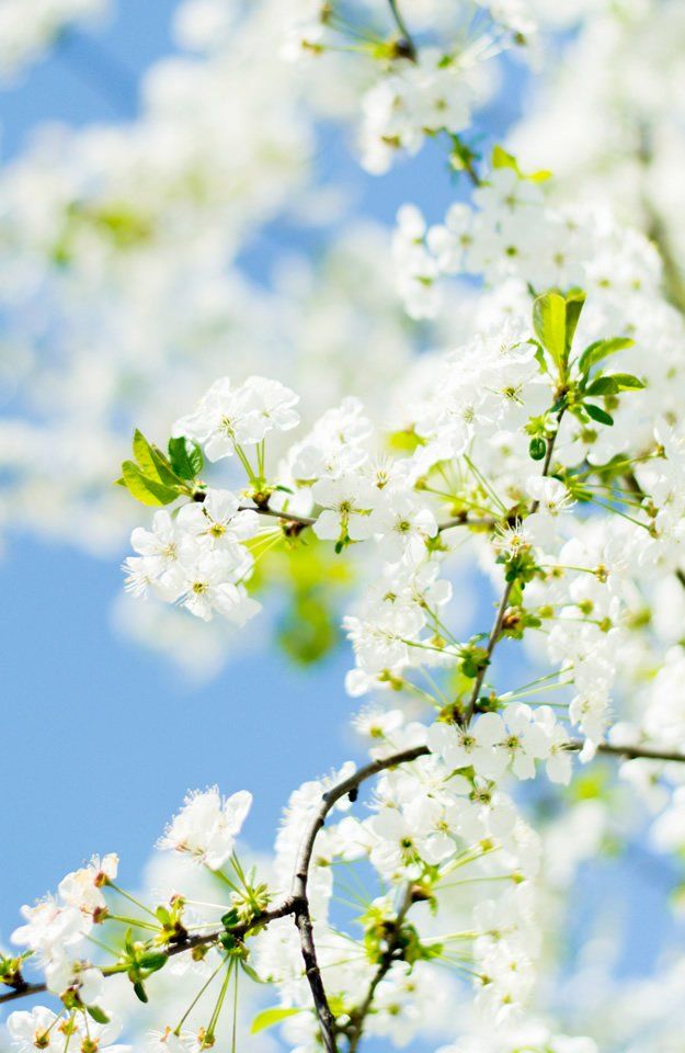 Impressum Logopädische Privatpraxis Antje zum Winkel