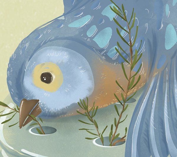 Texto para los buscadores