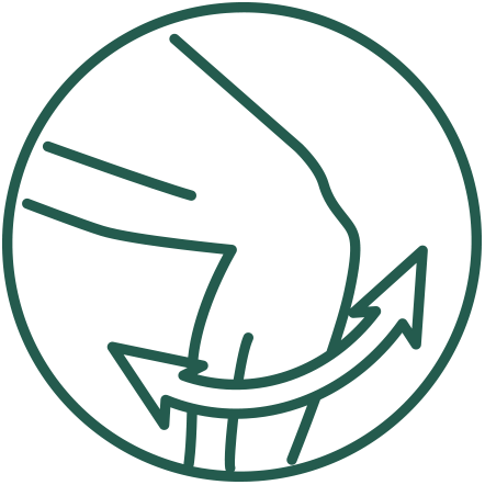 muskel icon muskel icon