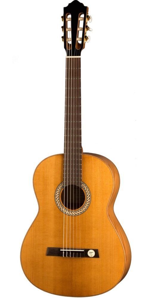 Höfner HGL-9 Green Line