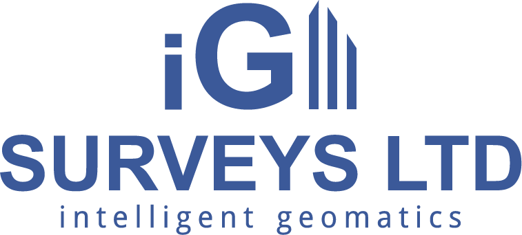 iG Surveys Logo