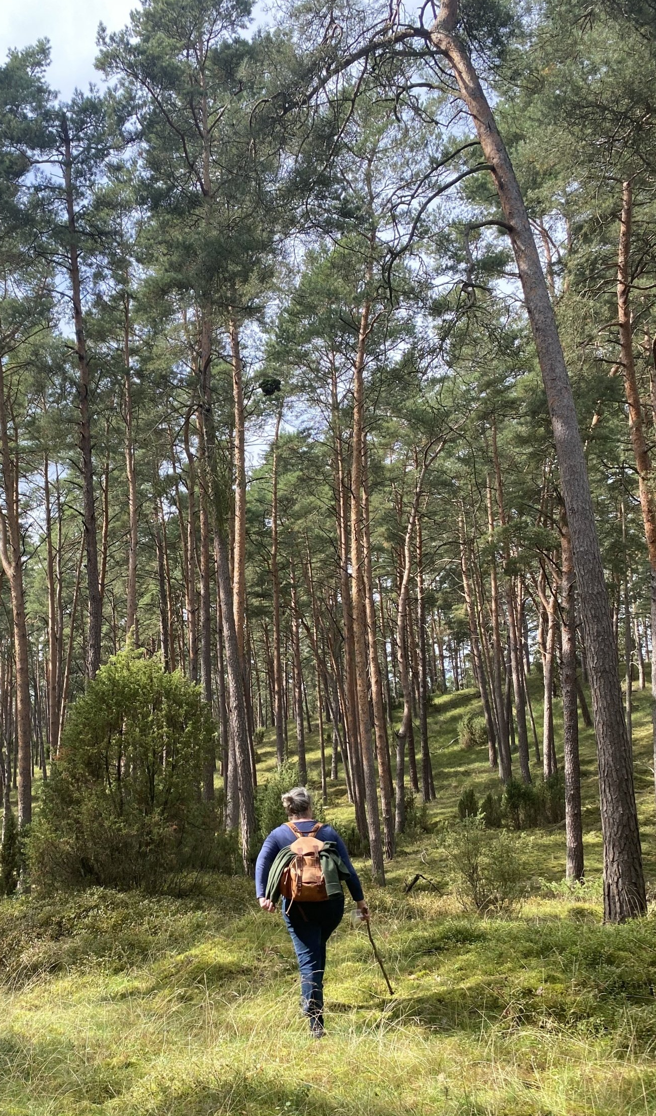 Suchend wandern... Wandern & suchen