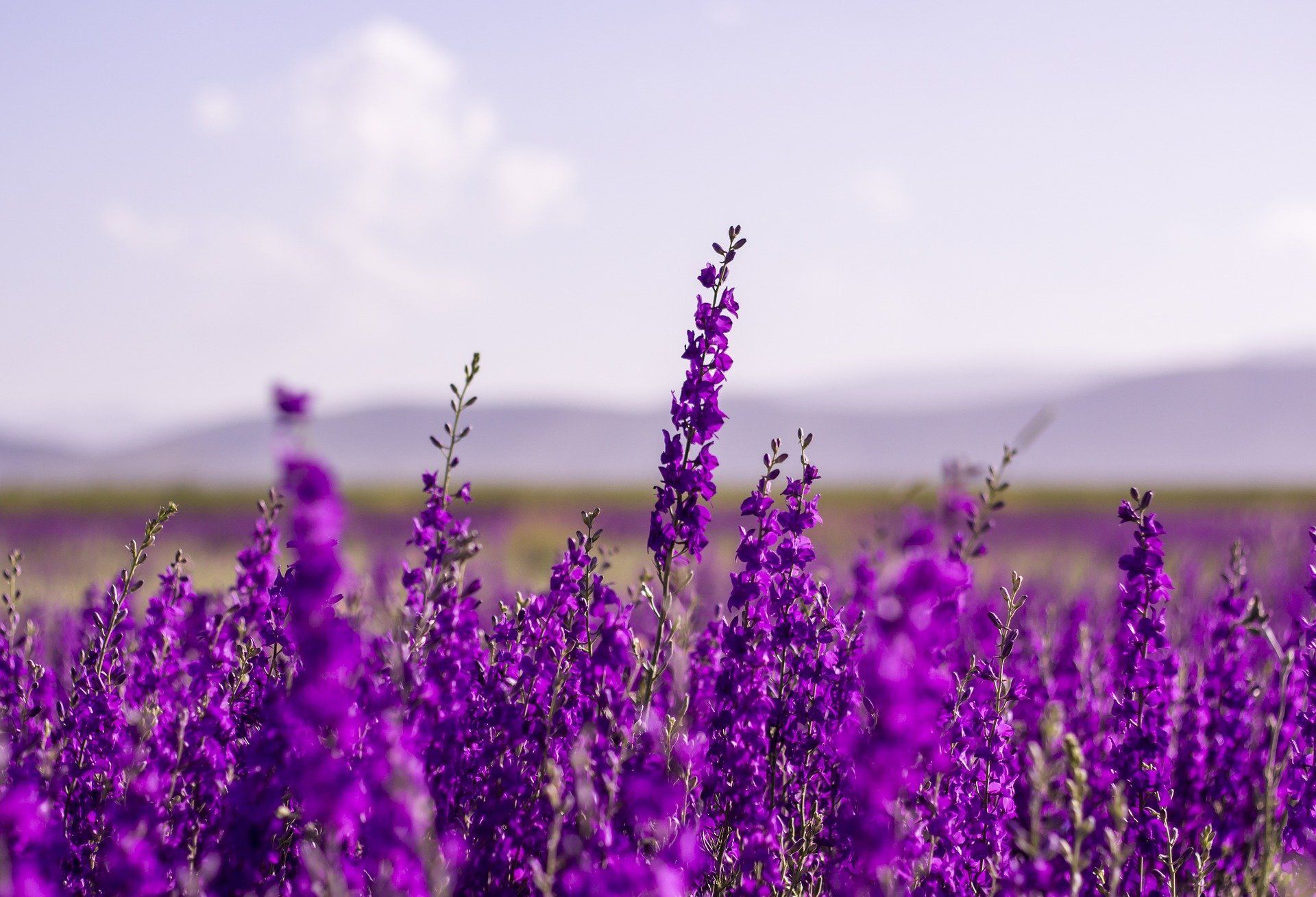 | Embracing the seasons in your life | Impacting Destiny