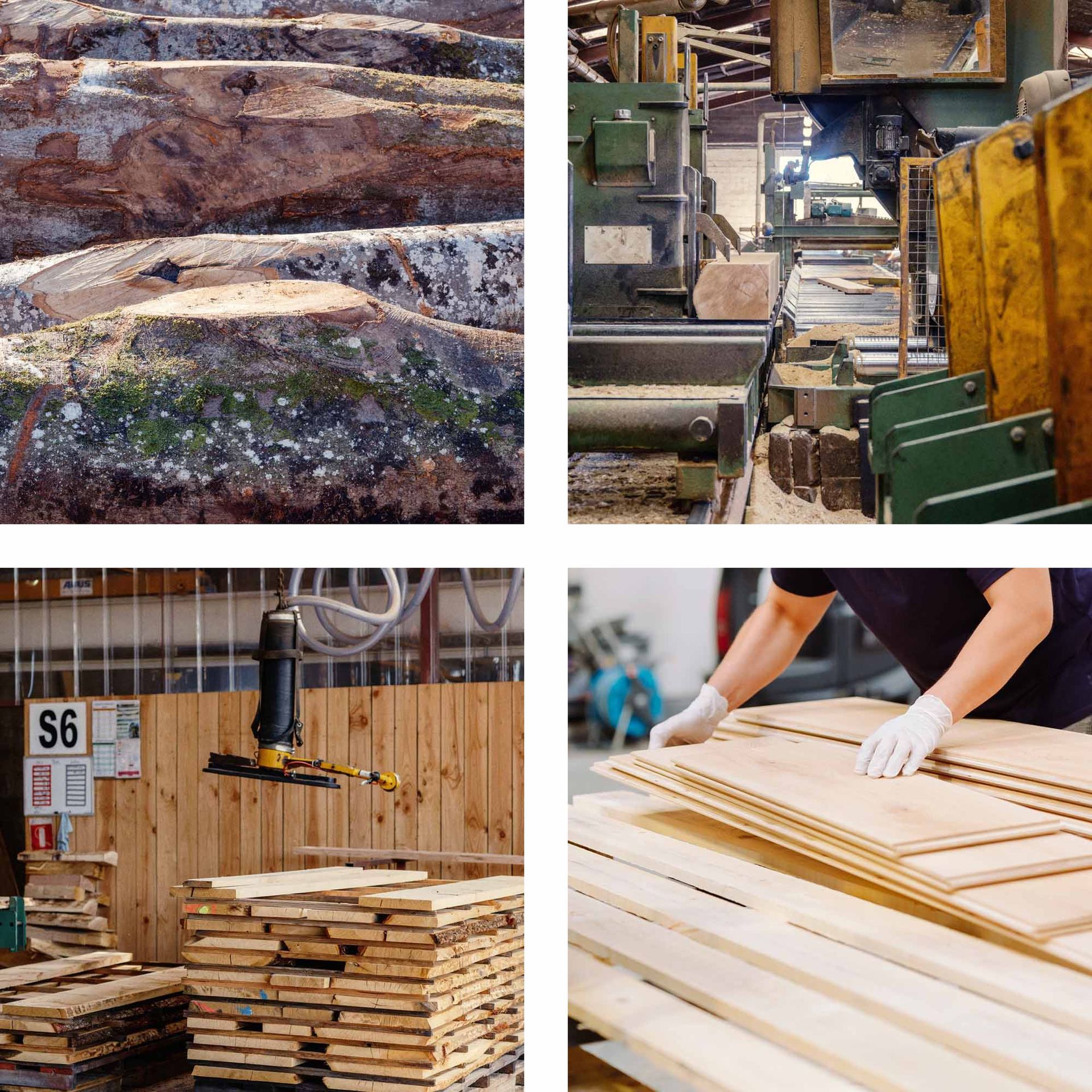 Herstellung von Eichenparkett in der Werkstatt mit traditionellen Maschinen – Zuschnitt und Verarbeitung für Parqueterie DUPRADAL.