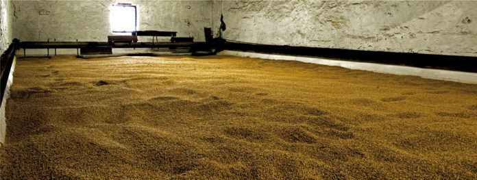 Darrboden bei Bowmore (Foto: Heinz Fesl)