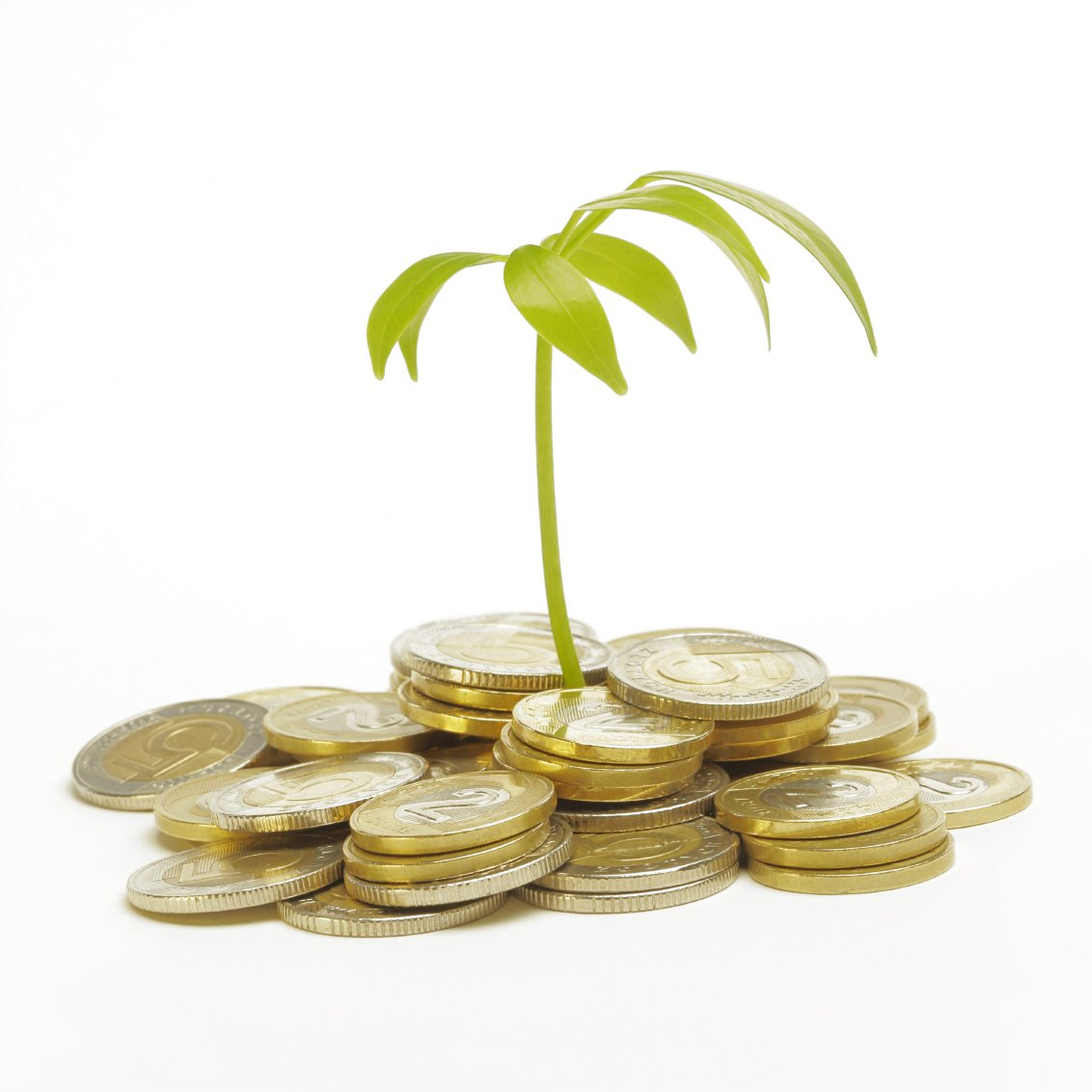 Edelmetalle, Gold, wachsendes Vermögen