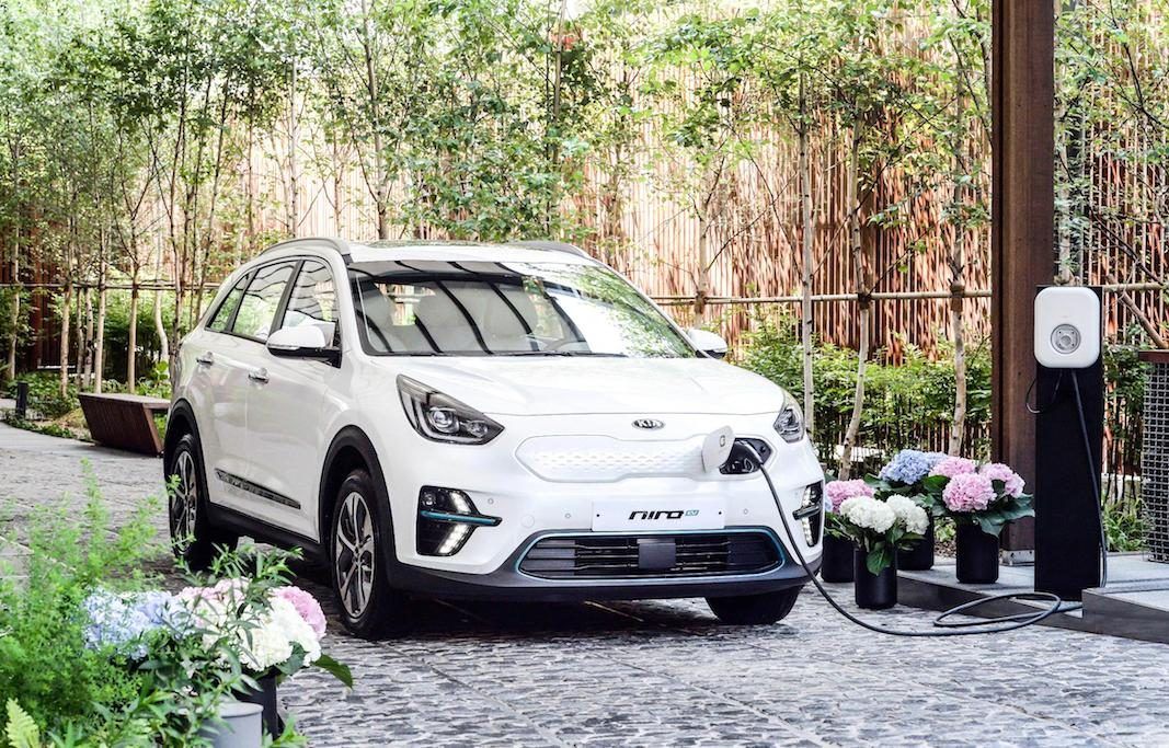 venta de adaptadores para Kia e-Niro cargadores compatibles con Kia e-Niro eléctrico