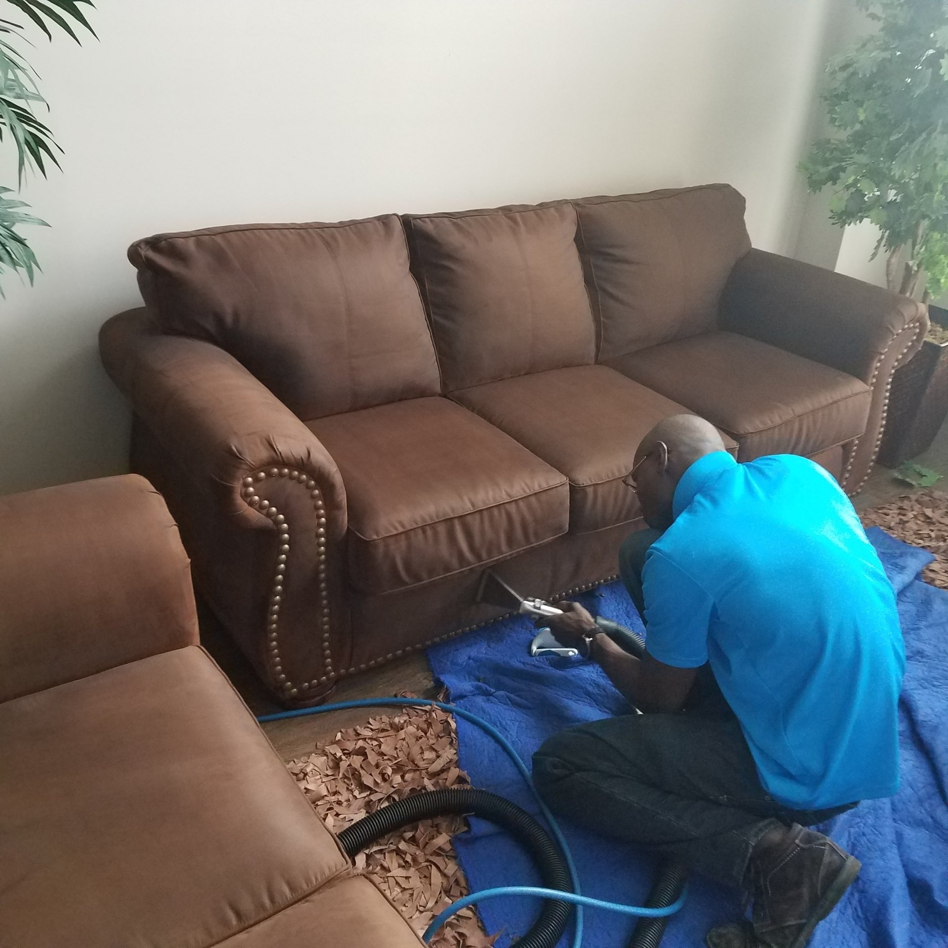 Kelvin upholstery cleaning 2