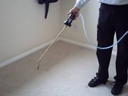 Carpet Protection by Sir CleanAlot