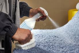 Applying Carpet protection and Sanitizing