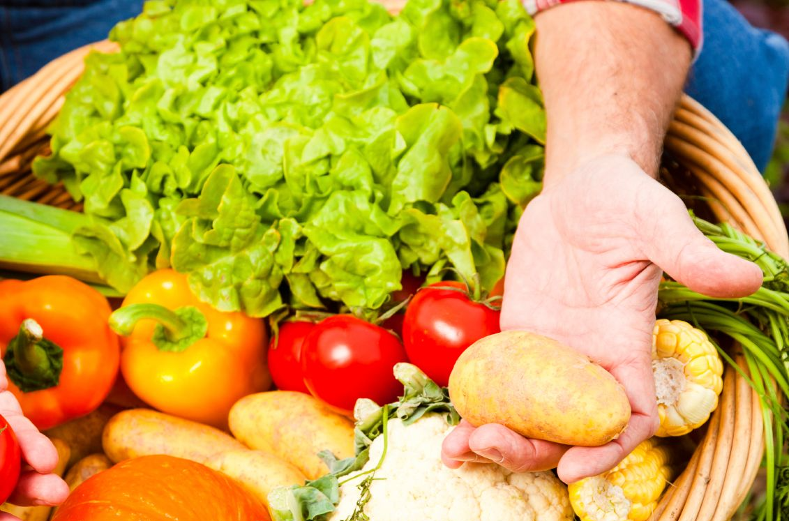 Plat restaurant MORDUS à Toulouse