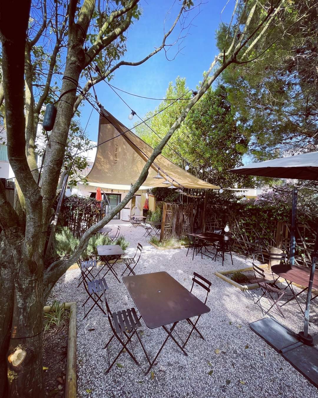 Restaurant MORDUS à Toulouse