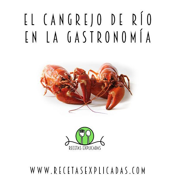 Receta Explicadas