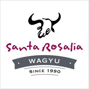Recetas Explicadas
