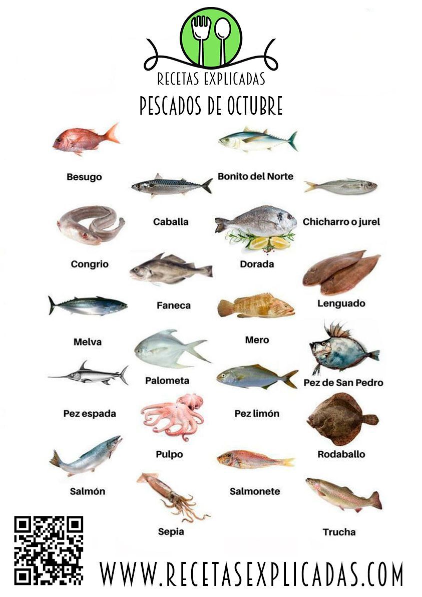 Recetas Explicadas