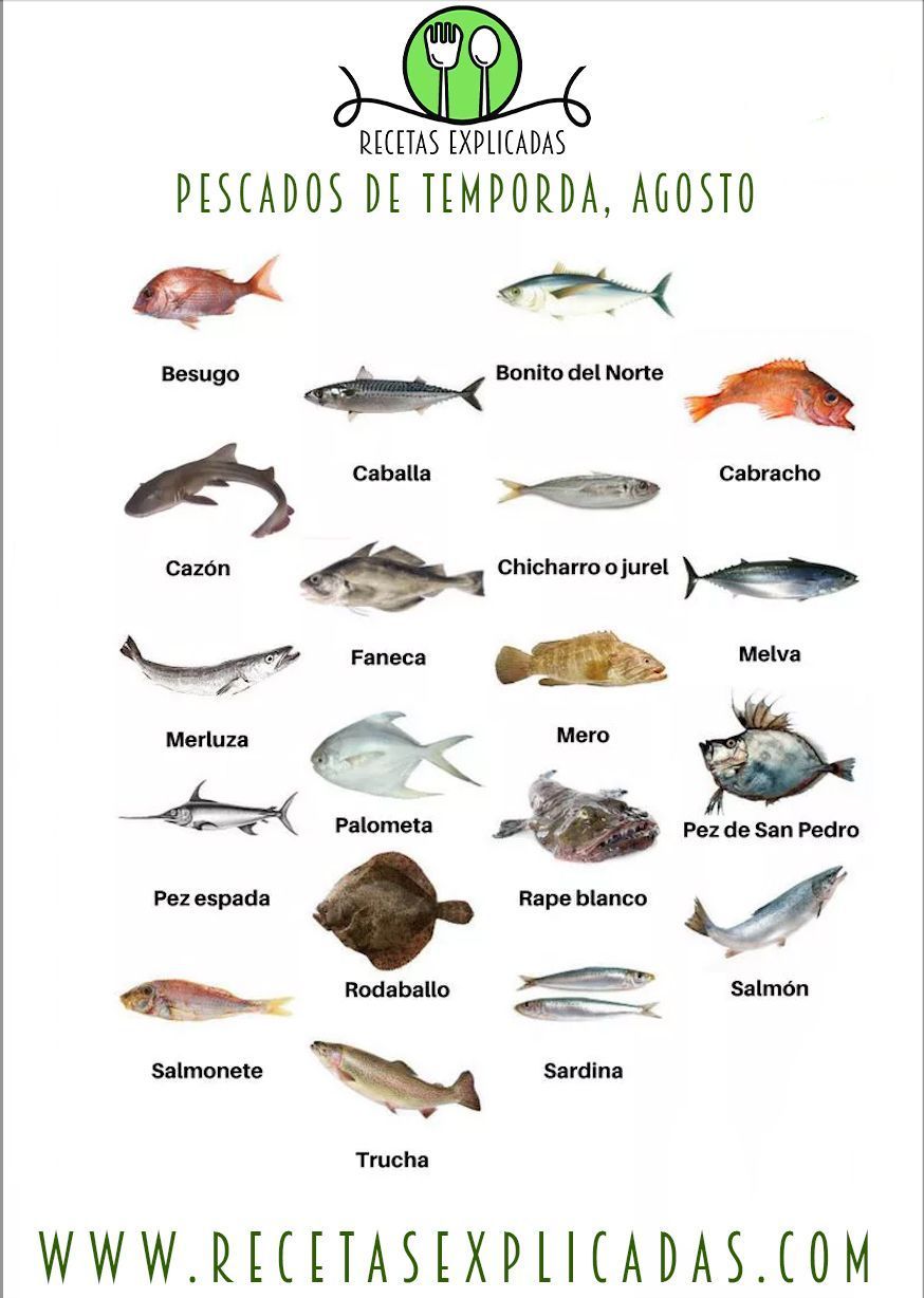 Recetas Explicadas