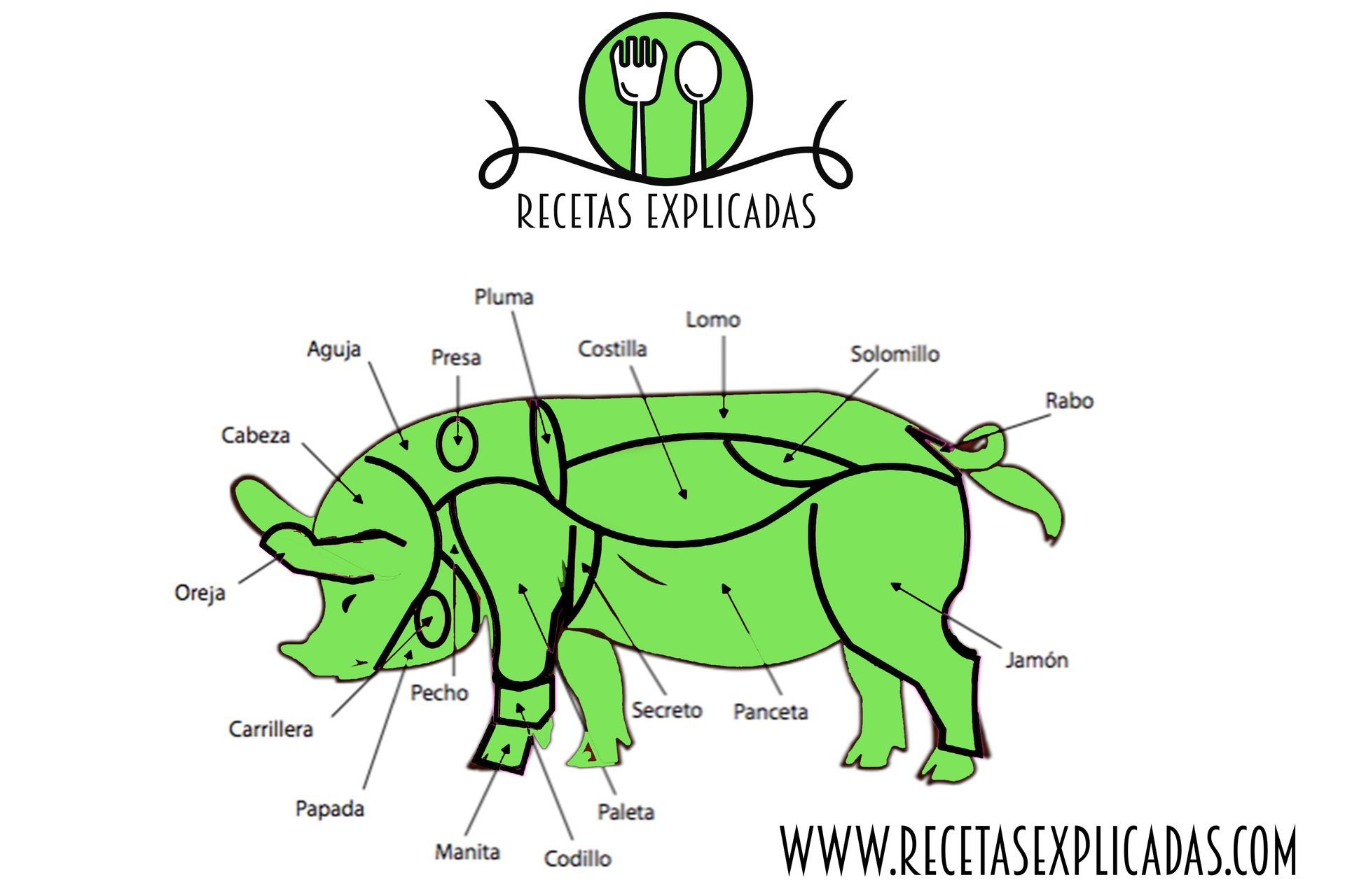 partes del cerdo