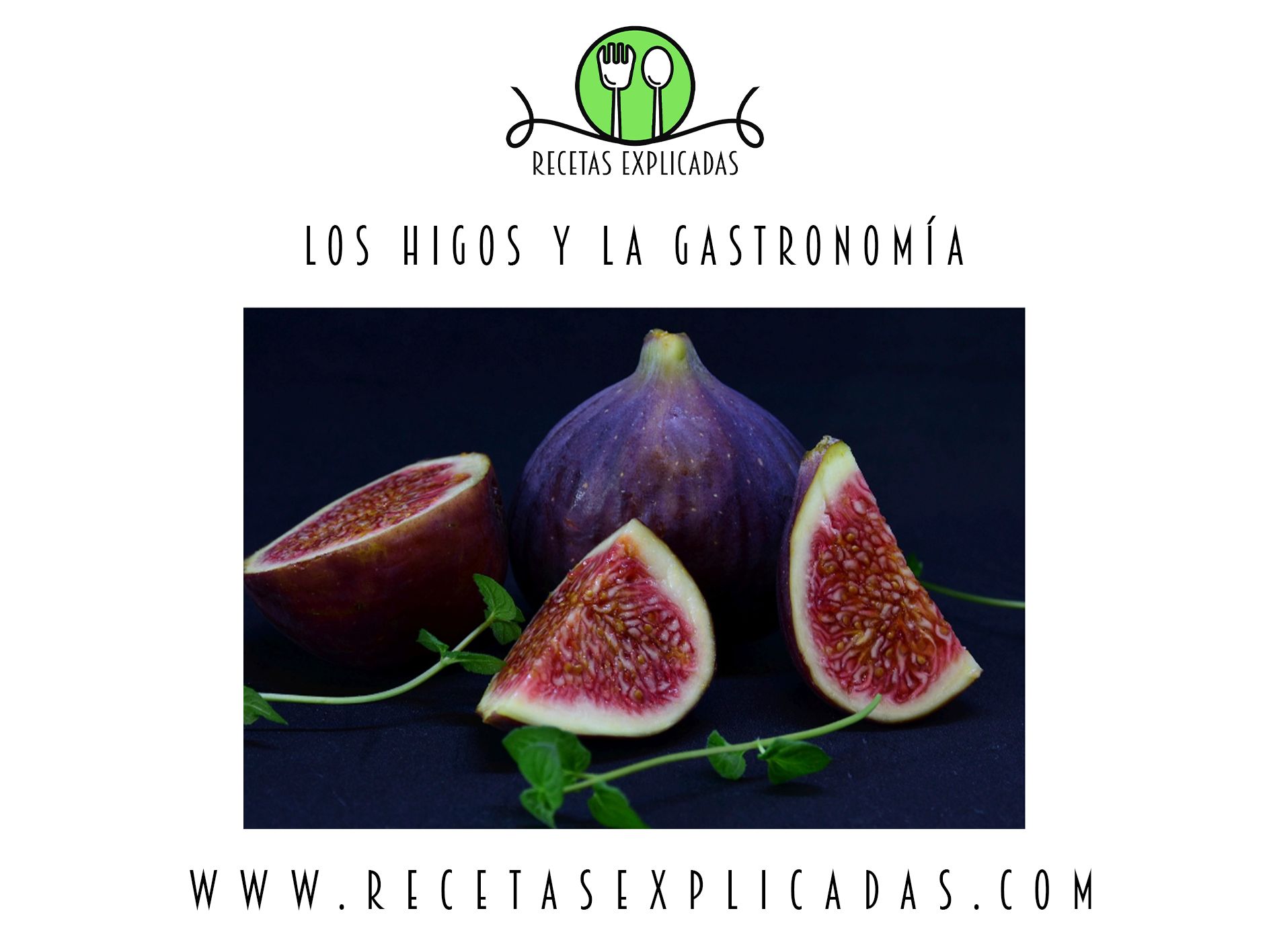 Receta Explicadas