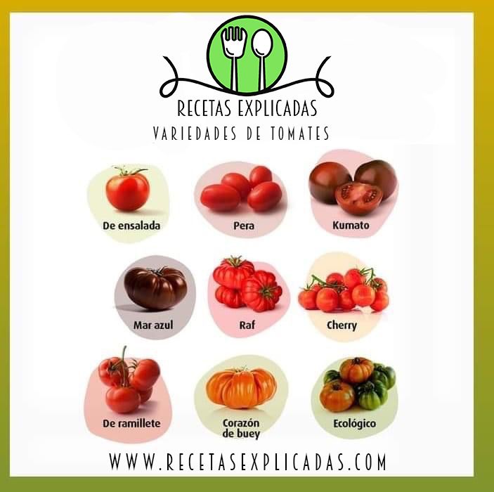 Recetas Explicadas