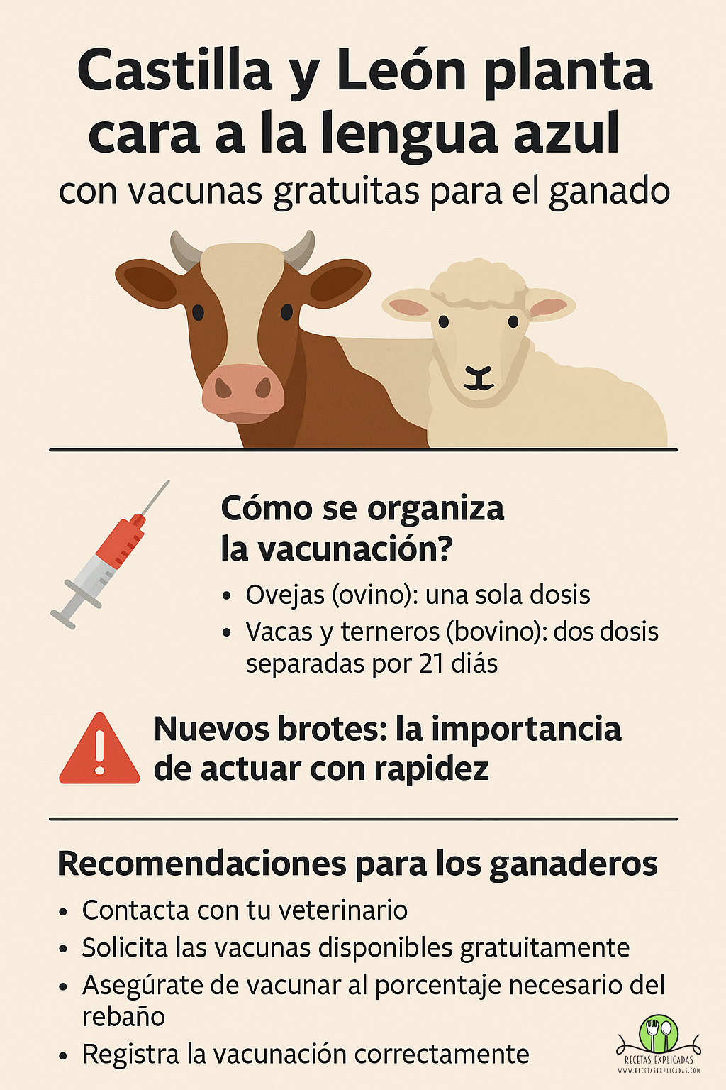 vacunas lengua azul, lengua azul Castilla y León, vacas lengua azul, ovejas lengua azul, vacunación gratuita ganado, ganadería Castilla y León, sanidad animal, serotipo 3 lengua azul, Junta Castilla y León, Recetas Explicadas