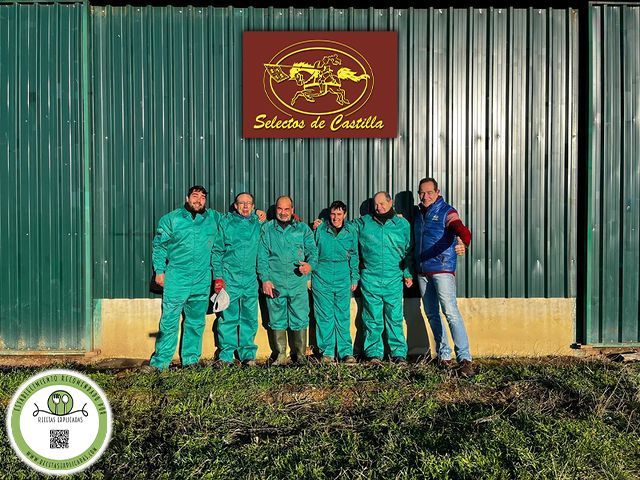 selectos de castilla