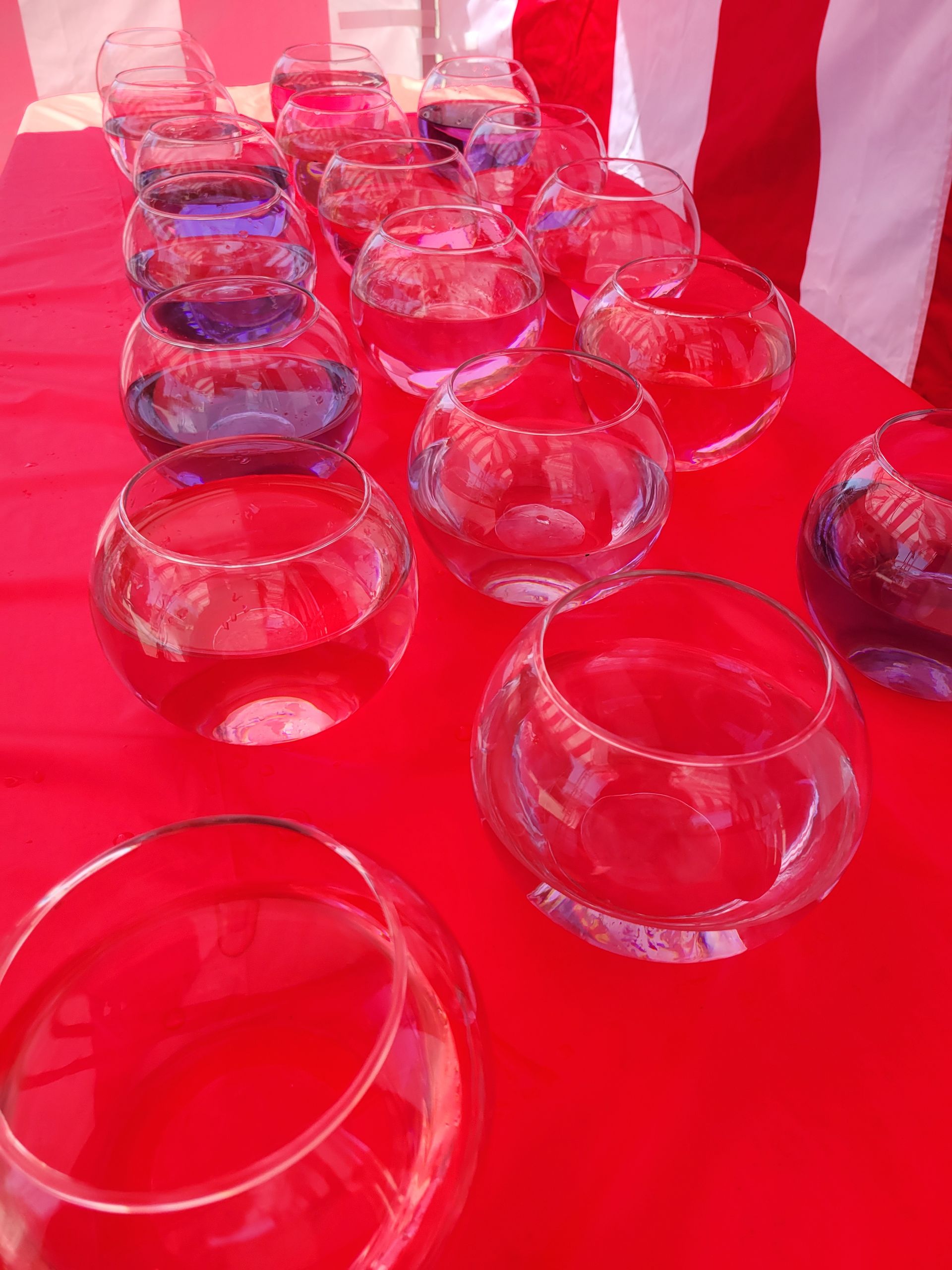 Fish bowl game