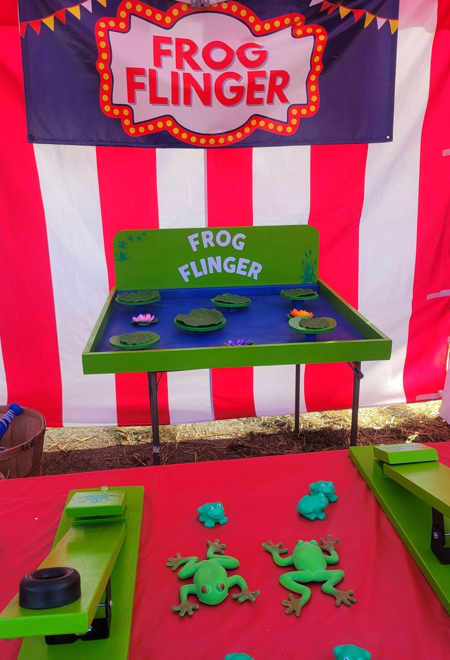 Frog Flinger game