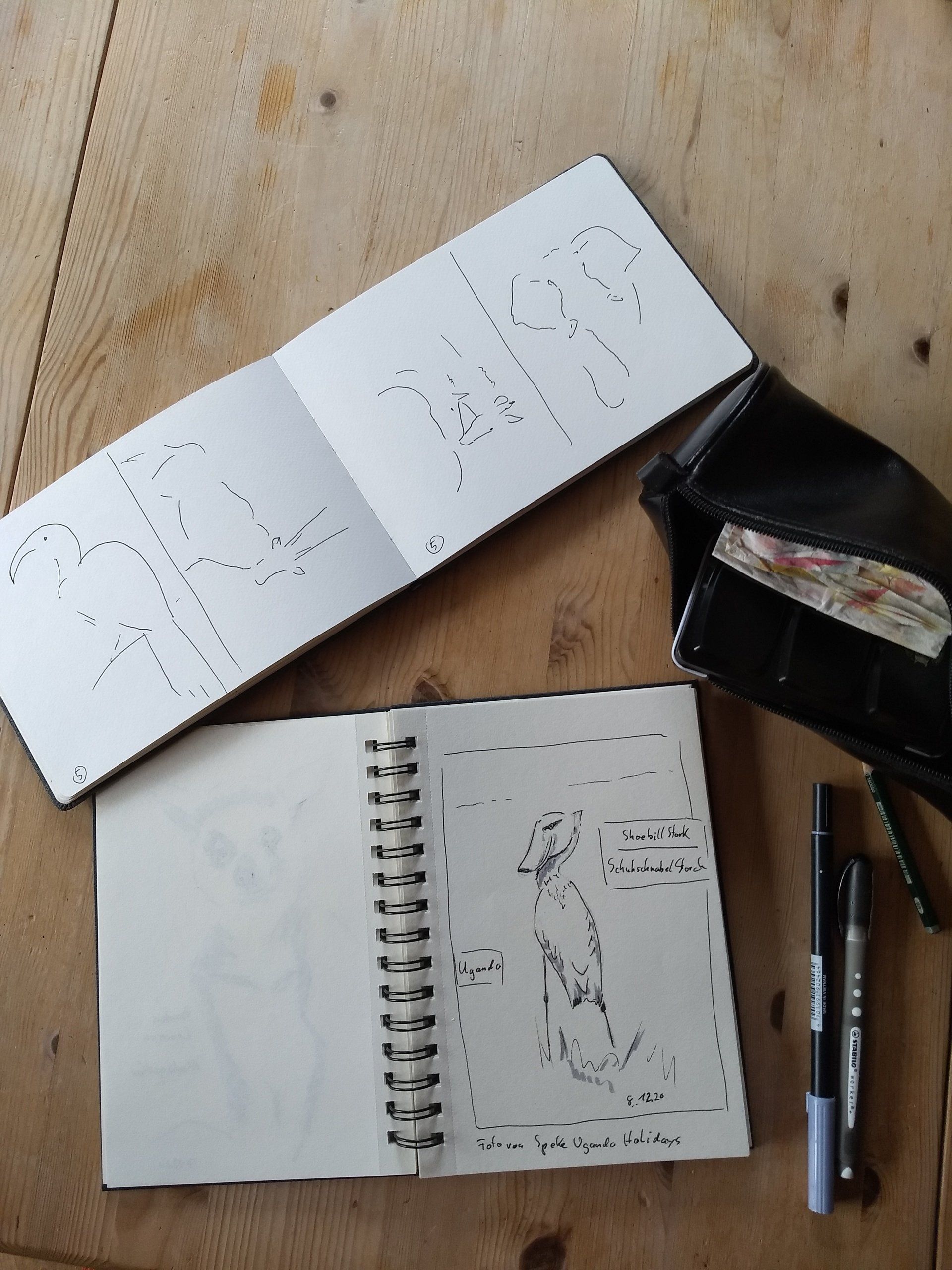aufgeschlagene Skizzenbücher, die schwarzweiße Schnellskizzen afrikanischer Tiere zeigen