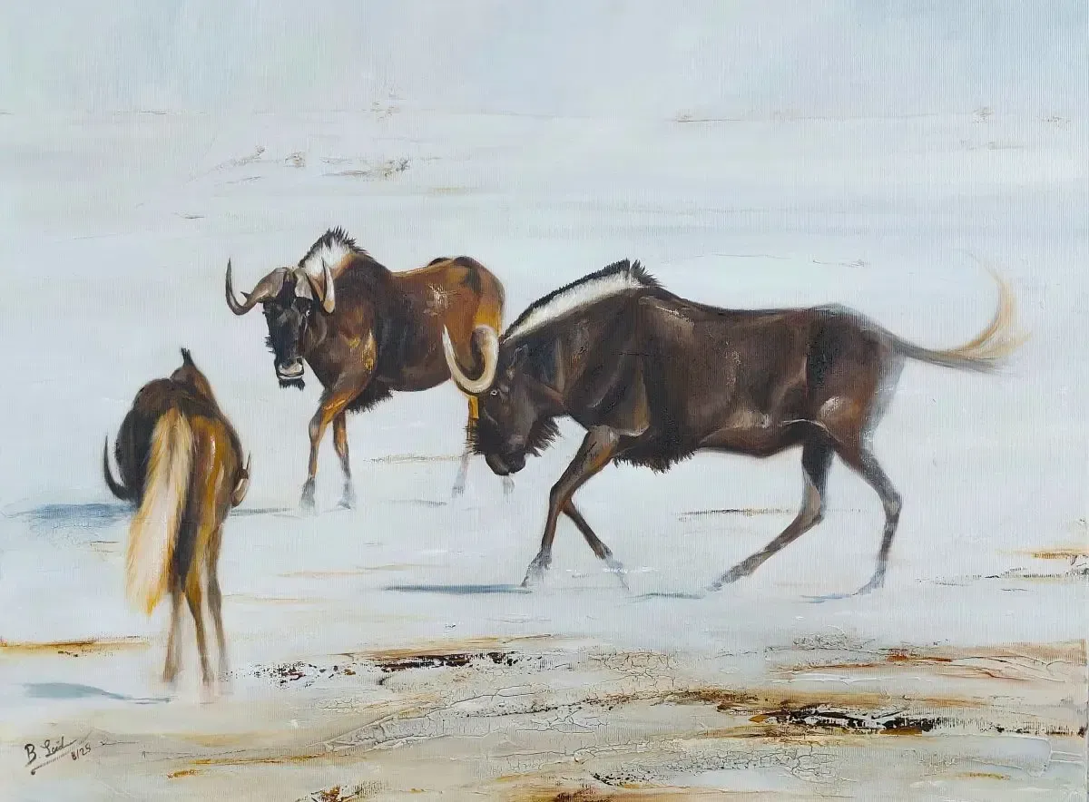 drei kleine Potraits von Gorillas an einer Wand