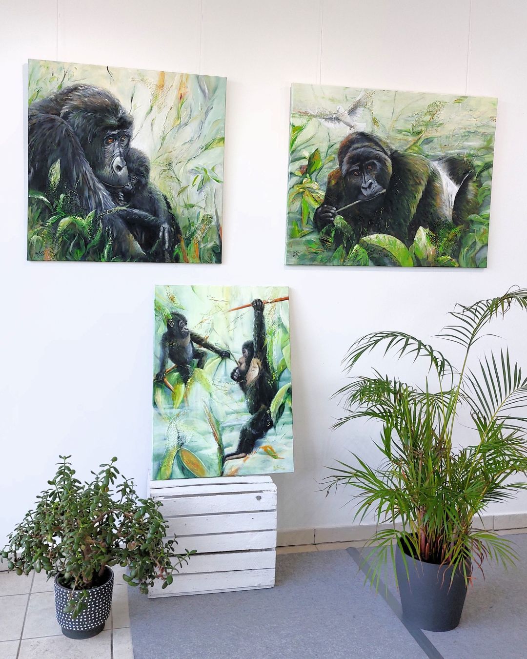 Drei Gemälde mit Gorillas