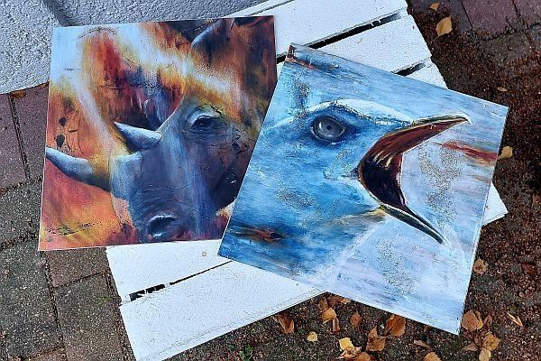 FineartPrints von Nashornkopf und Moewenkopf