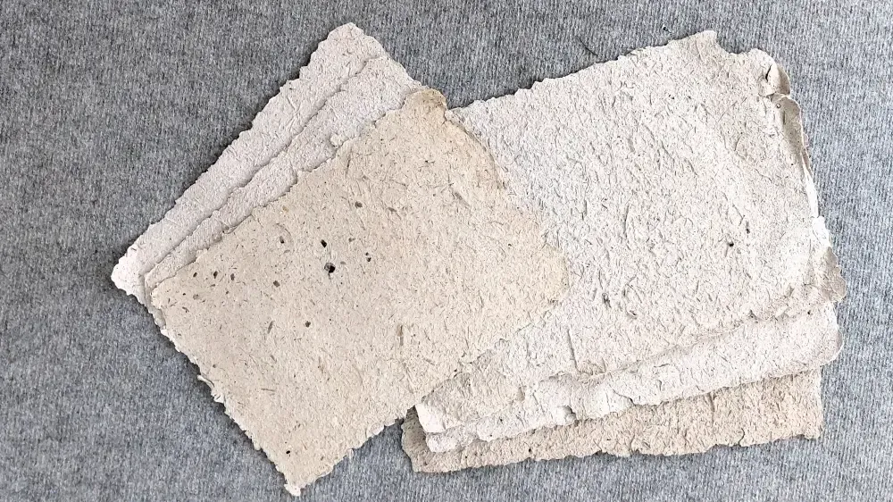 Sechs Bögen Elefantenpapier, das in Uganda aus Elefantendung hergestellt wurde