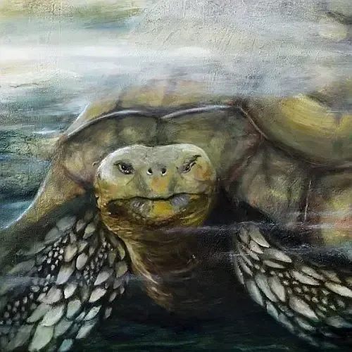 Gemälde einer Schildköte als Titelbild der Bildergalerie