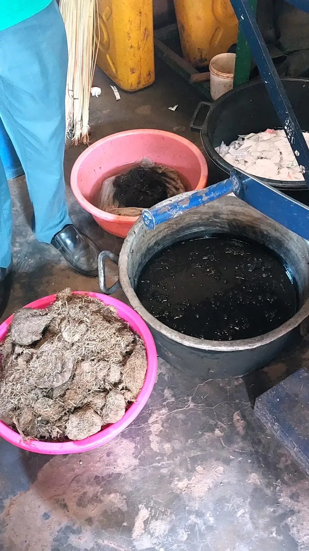 Schüsseln mit Elefantendung zur Herstellung von Elefantenpapier in Uganda