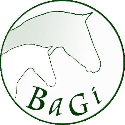 logo bagi