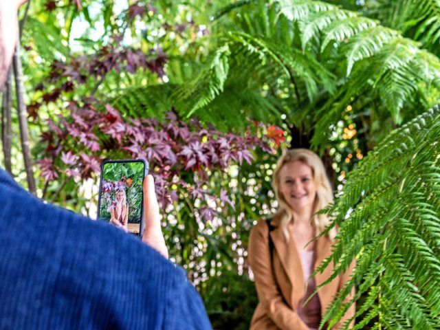 Lexus BBC Gardeners World