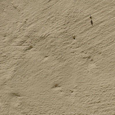 Institut für Forschung und Entwicklung