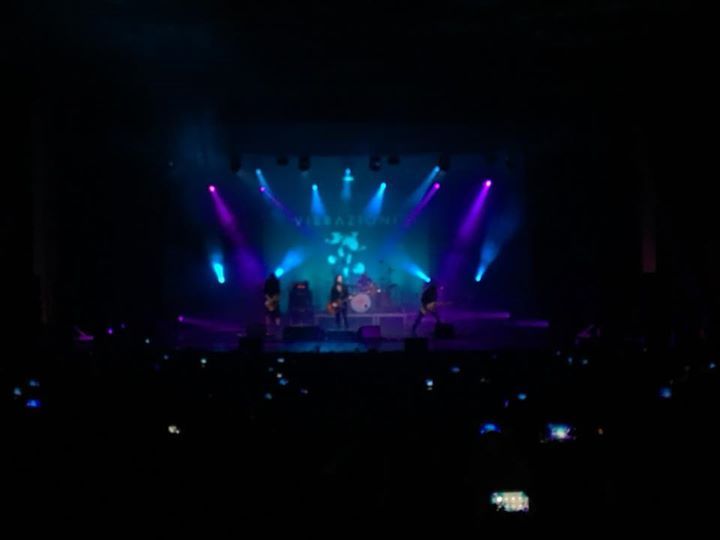 Spettacolo live Le Vibrazioni