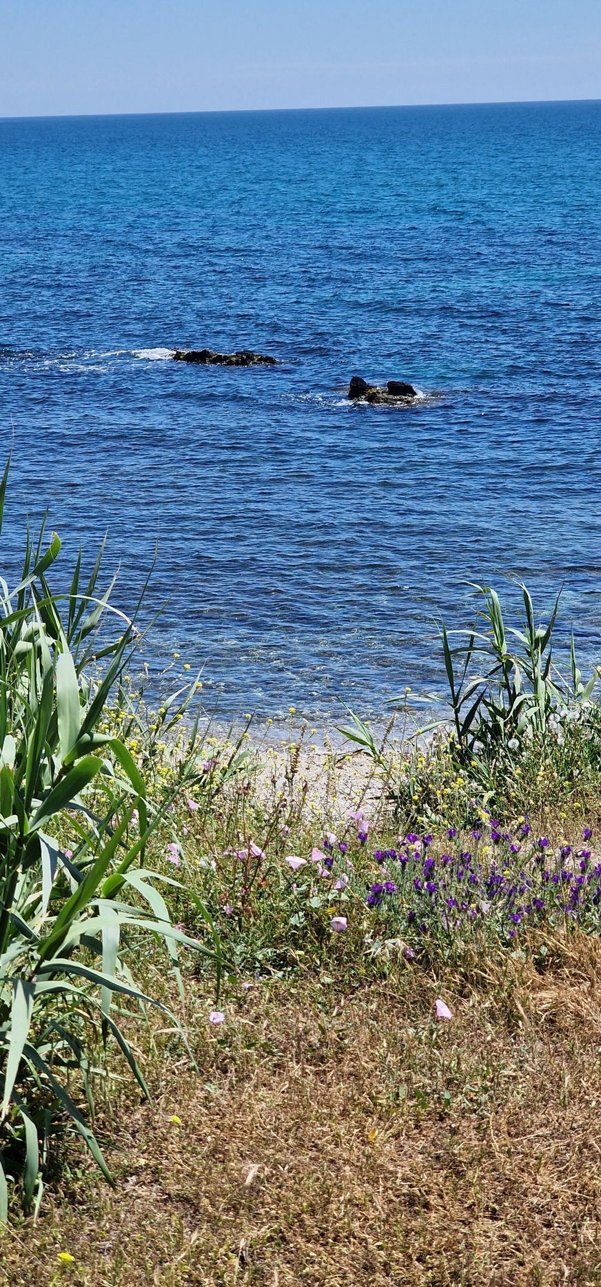 Ufer am Meer