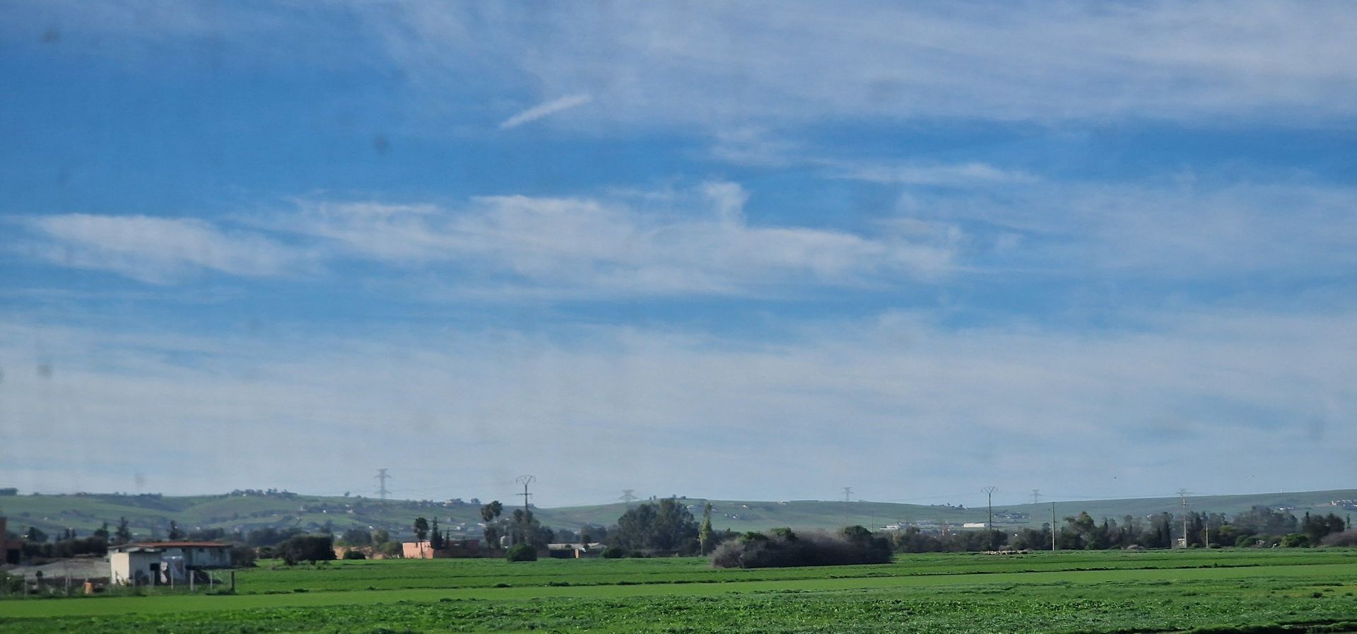 Blauer Himmel und grüne Wiese