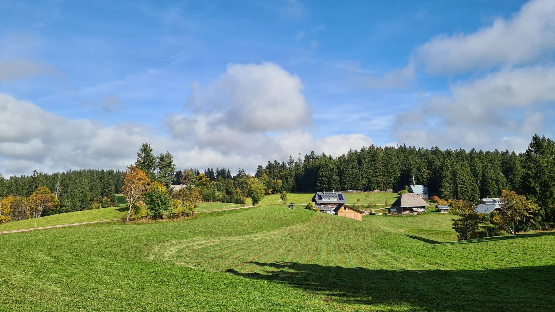 Schwarzwald Landschaft mit blauem Himmel
