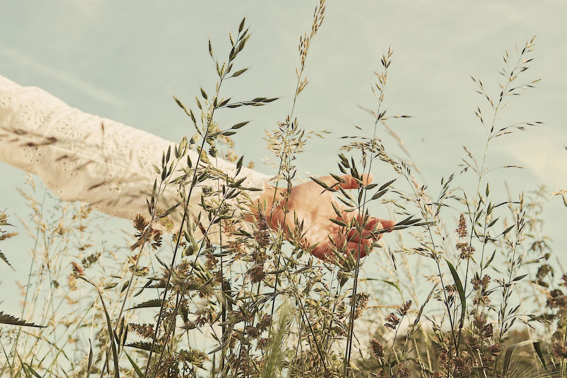 Hand greift ins Gras