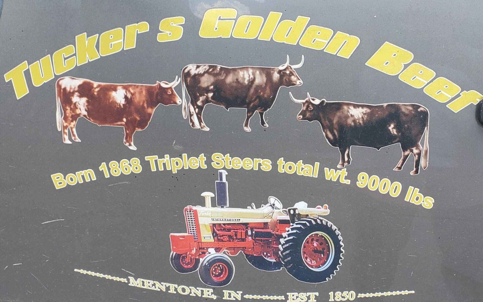 Tuckers Golden Beef