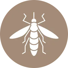 Démoustication pulvérisation piège moustiques